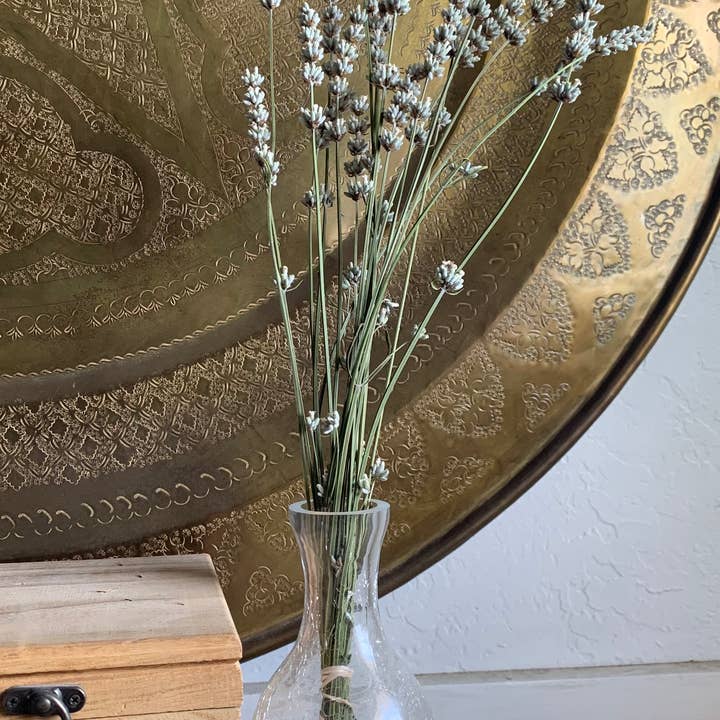 Twig and Snip - Wholesale Dried/Pressed Flowers - Dried White Lavender - Healing Flowers4