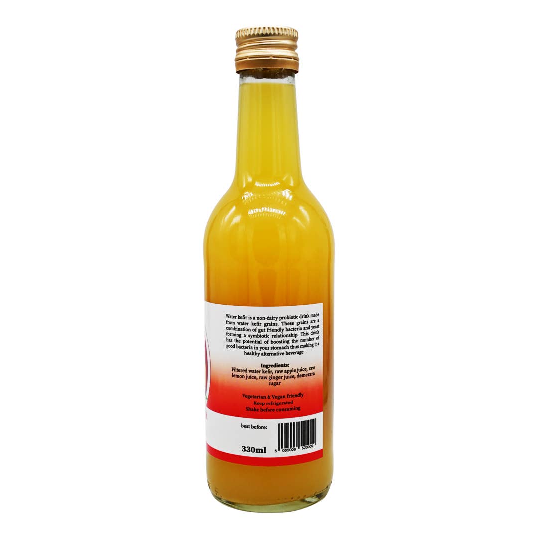 Mixture For Health - Wholesale Fruit Juice - Apple Lemon & Ginger water kefir drink2