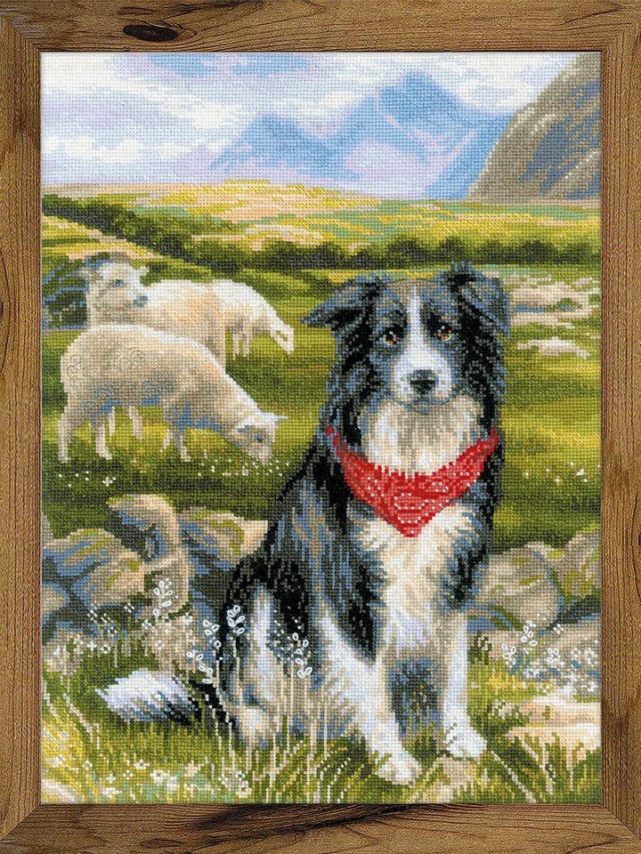 Cross Stitch Kit From Riolis 1767 Border Collie for wholesale by RIOLIS