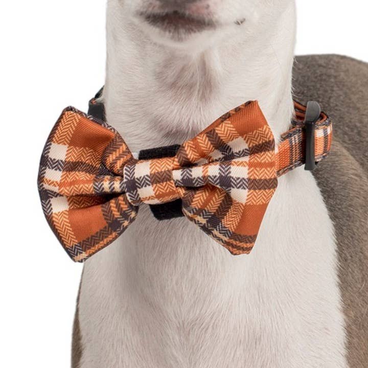 Vintage Plaid: Dog Bow Tie for wholesale by Pablo & Co. Boutique