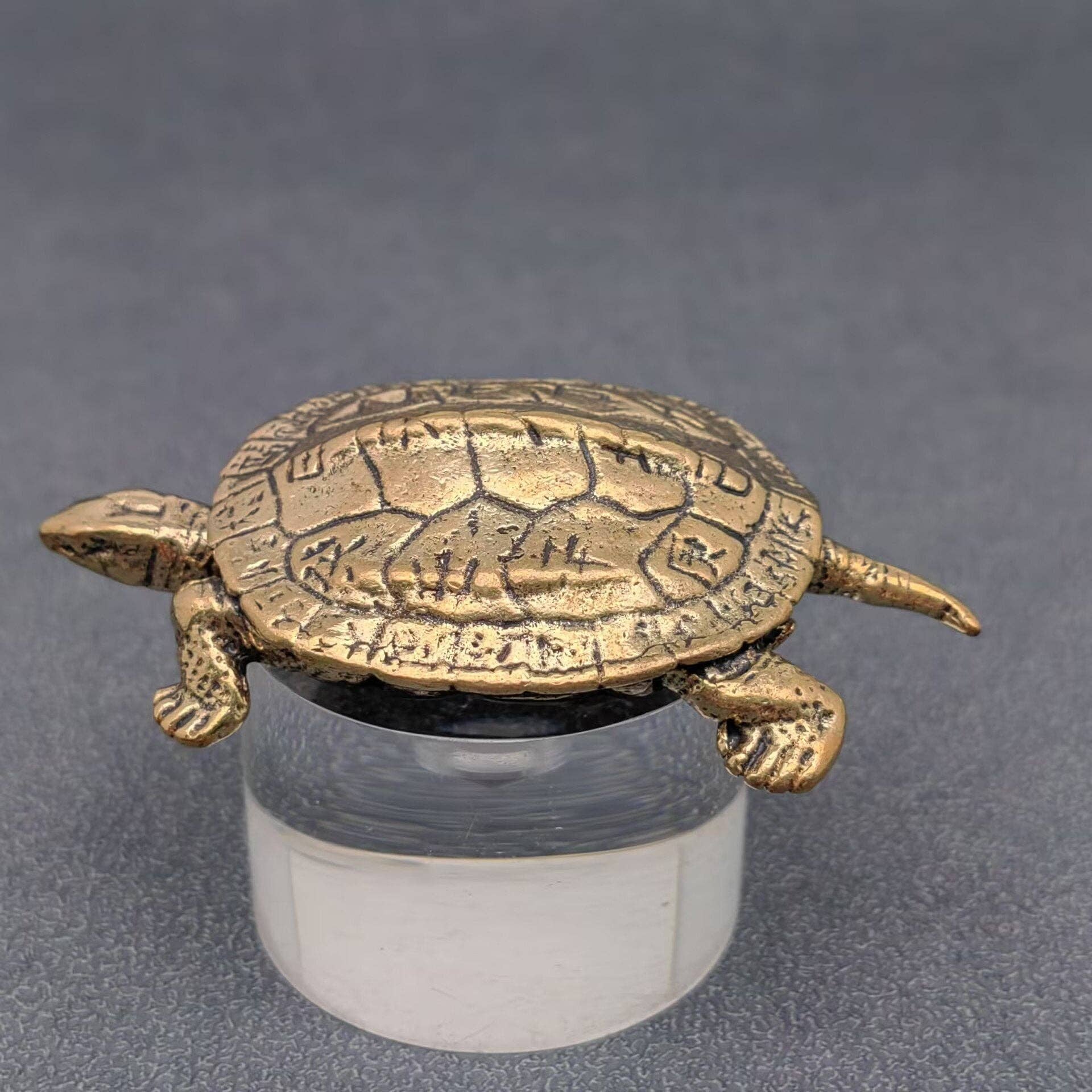 Mio Queena - Wholesale Decorative Figurine - Brass Chinese Divination Style Turtle Desktop Ornaments5