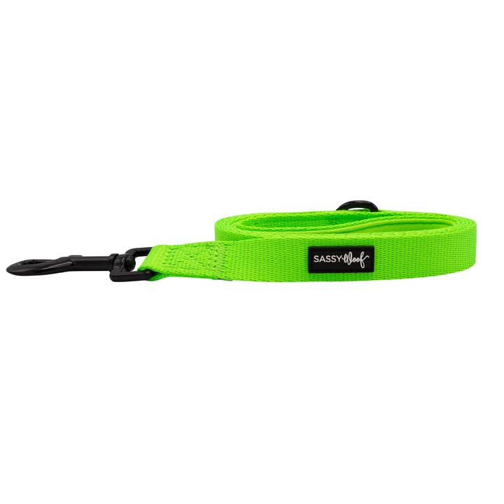 SASSY WOOF - Wholesale Pet Leash - Dog - Dog Leash - Neon Green1