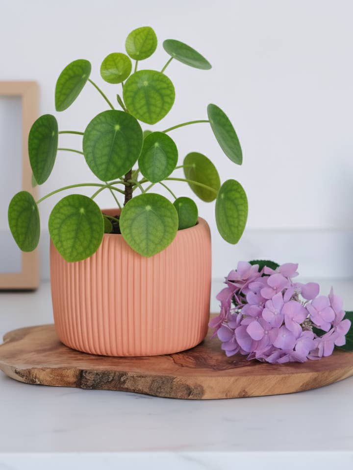 Maceta grande con diseño de rayas para venta al por mayor de Interlude Candles