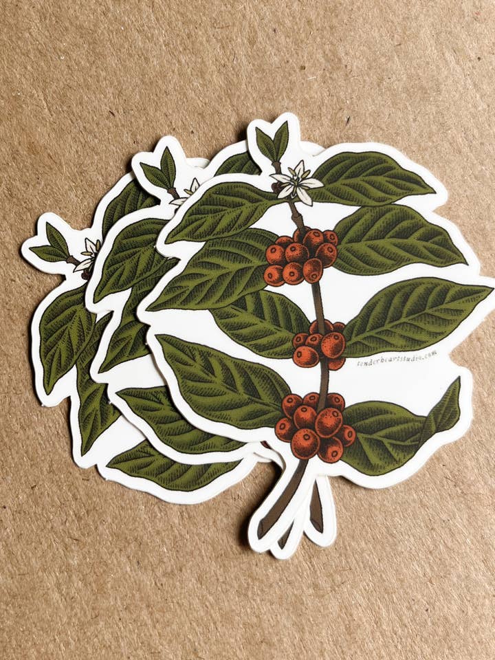 Kaffe vinyl klistermärke för wholesale av Tenderheart Studio