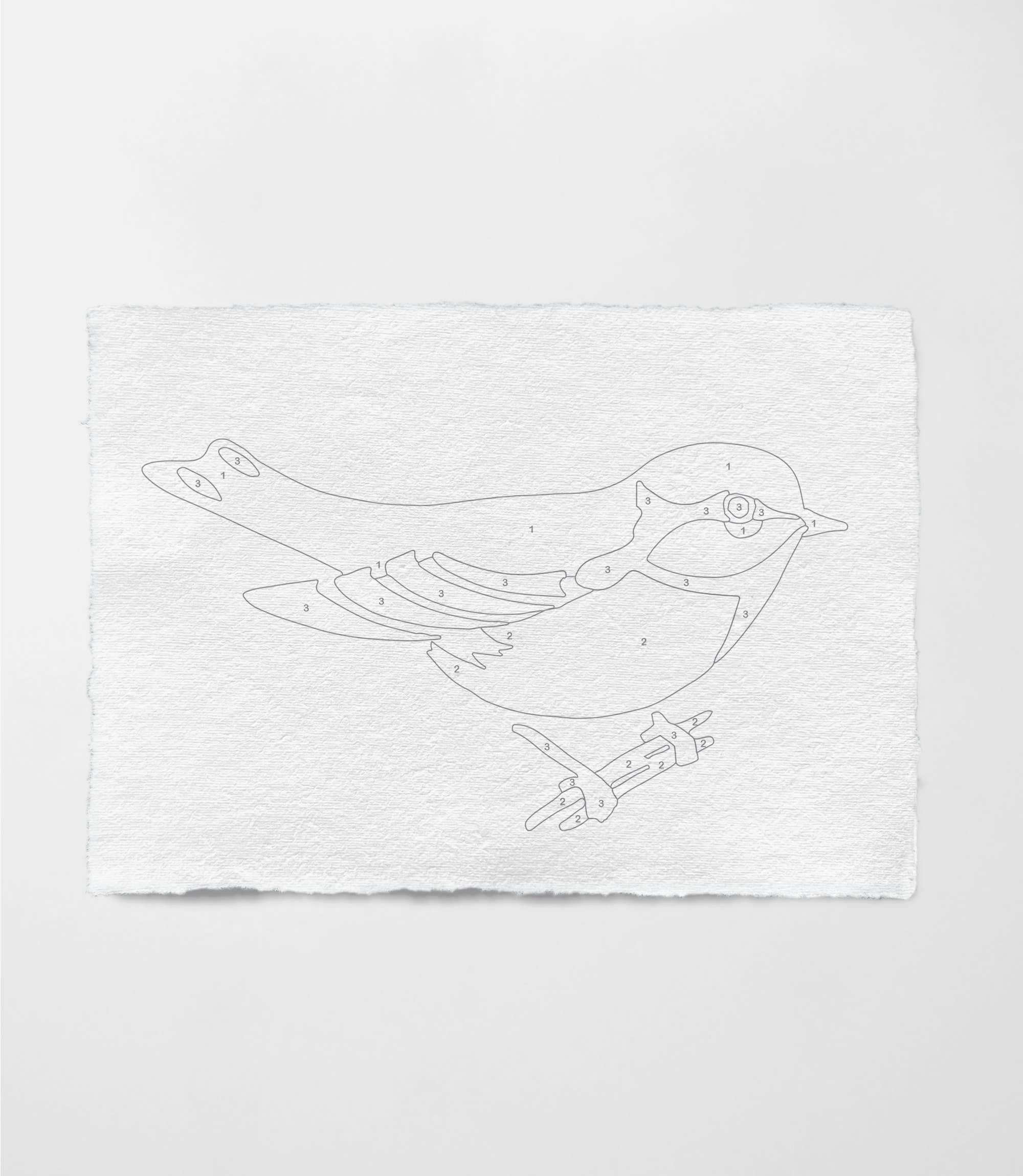 Coloready - Wholesale DIY Craft Kit - Bird Study : Goldfinch  |  Modern Paint By Numbers Kit2