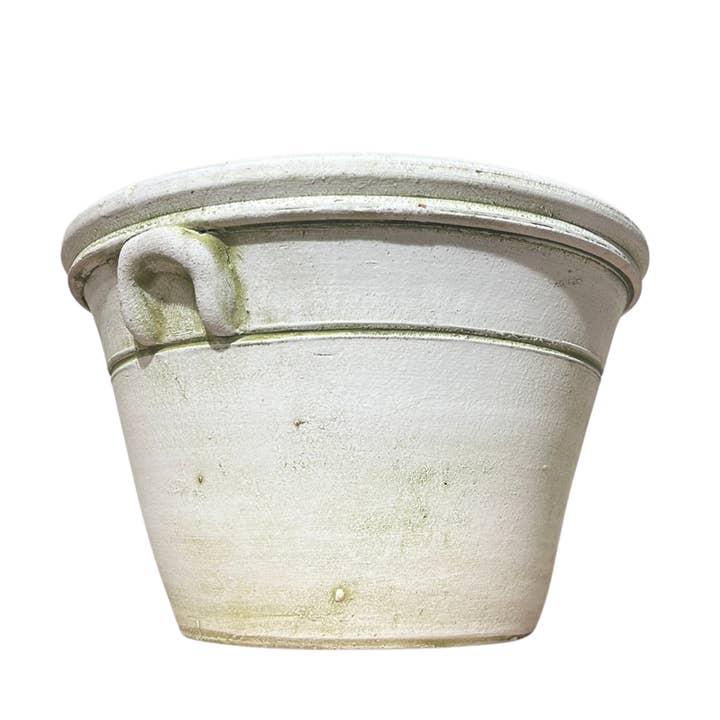 Botanical Collections - Wholesale Plant Pot - Provence Pot #2 - Set of 43