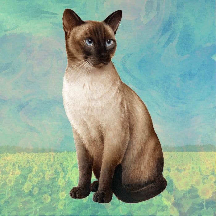 E&S Pets - Wholesale Coasters - Siamese Square Coaster