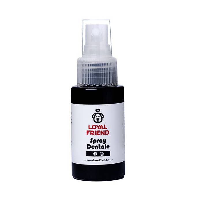 Zahnspray (50 ml) für den Großhandel von Loyal Friend