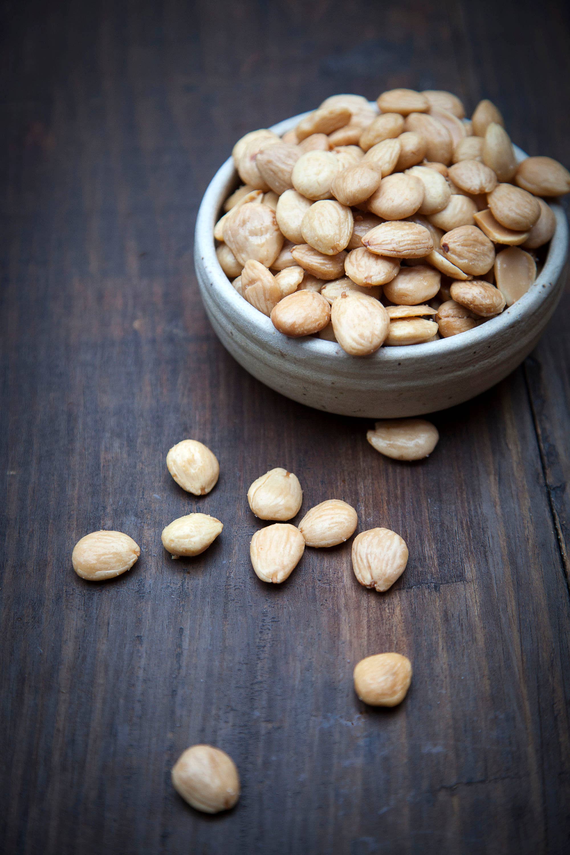 Matiz - Wholesale Nuts - Matiz Marconas Fried Salted - 11lb1