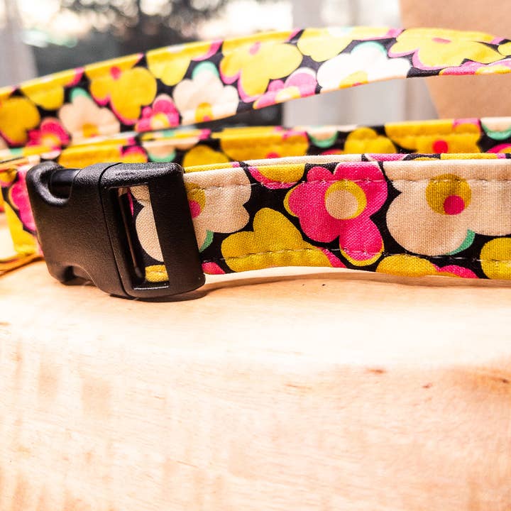 L'ensemble collier et laisse pour chien « Candy » pour la vente par Little Barks Boutique