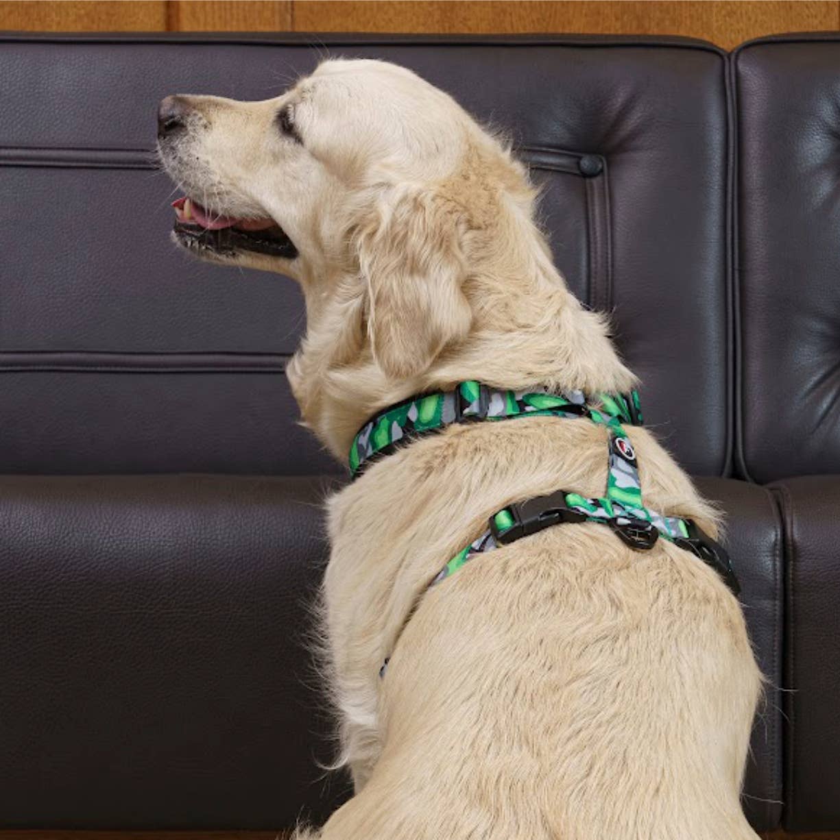 FINNERO – Arnês – Cão por atacado – FINNERO CAMOCOLOR peitoral Y ajustável para cães, 3 cores14