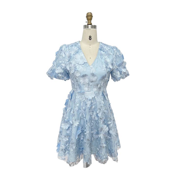 XHHH Inc - Wholesale Dress - Women's - X9035CD.3D Floral Embroidered Mini Dress12