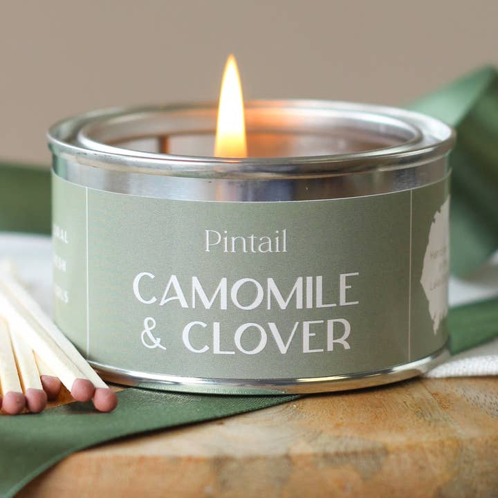 Camomile & Clover Paint Pot for wholesale by Pintail Candles | Avalon Home