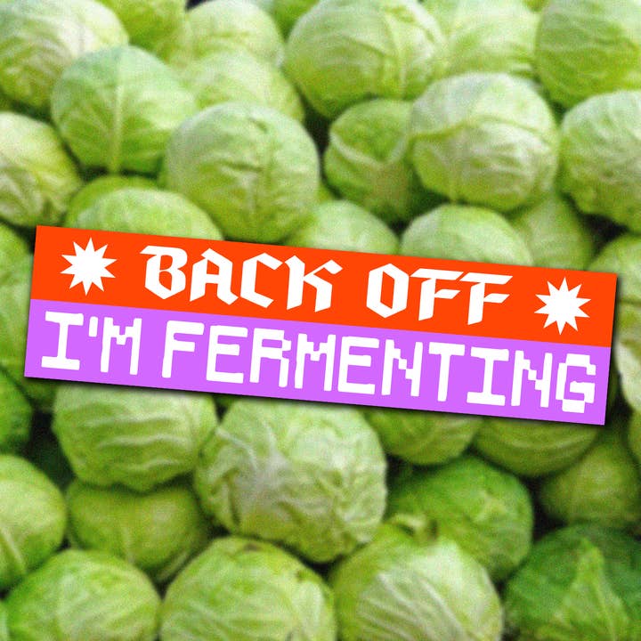 Back Off! I'm Fermenting Bumper Sticker for wholesale by Alex Luciano