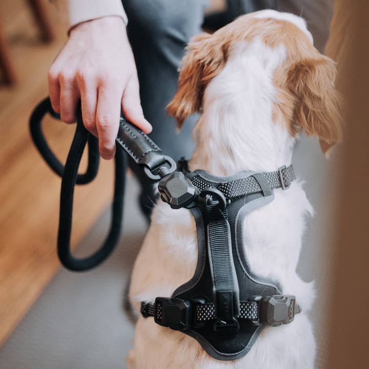 HOOZA - Wholesale Pet Leash - Dog - MAGNETIC QUICK CLIP ROPE LEASH3