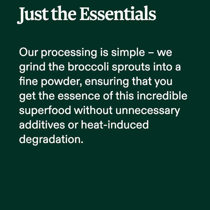 FoodNerd Inc. - Wholesale Protein/Superfood Powder - Organic Broccoli Sprout Powder3