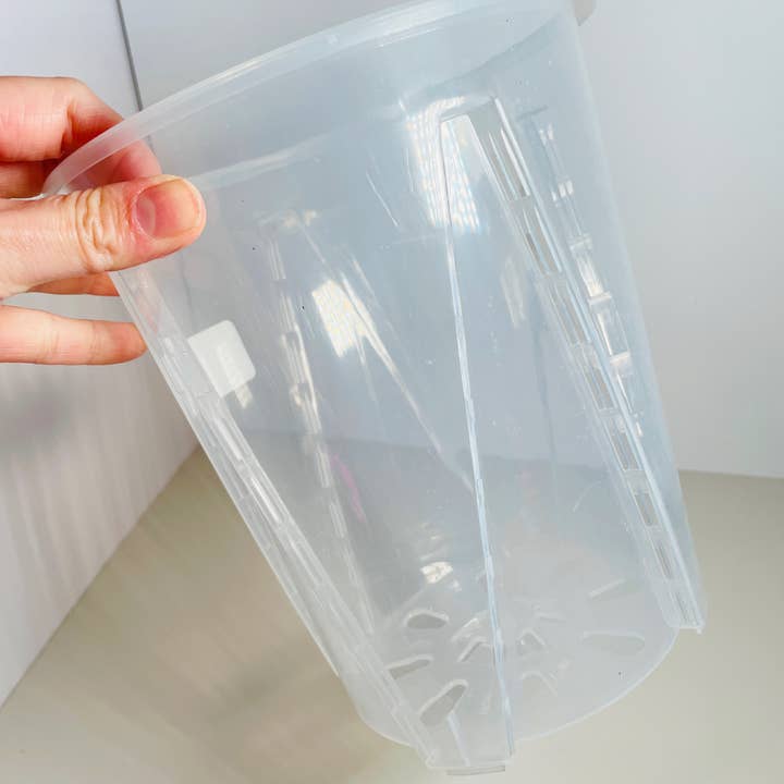 Coco and Palm Trees - Vente Pot - Pot de pépinière transparent de 7 po1