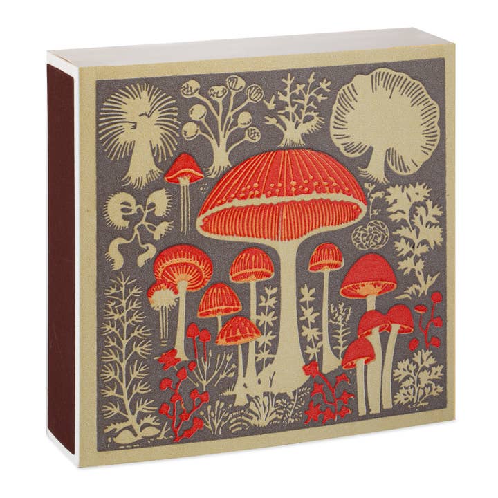 Archivist Gallery | UK - Wholesale Matches - Mushroom | Square Matchboxes2