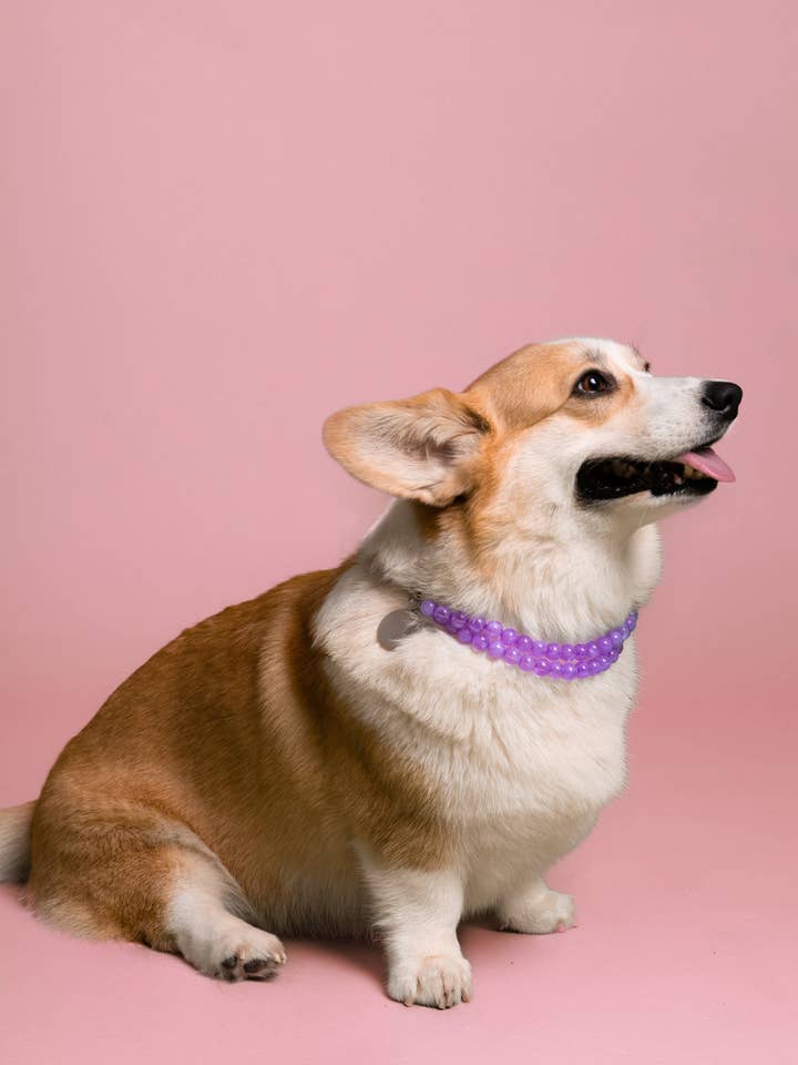 COLLIER DE PERLES DOUBLE RANG pour la vente par BAND OF HEARTBREAKERS