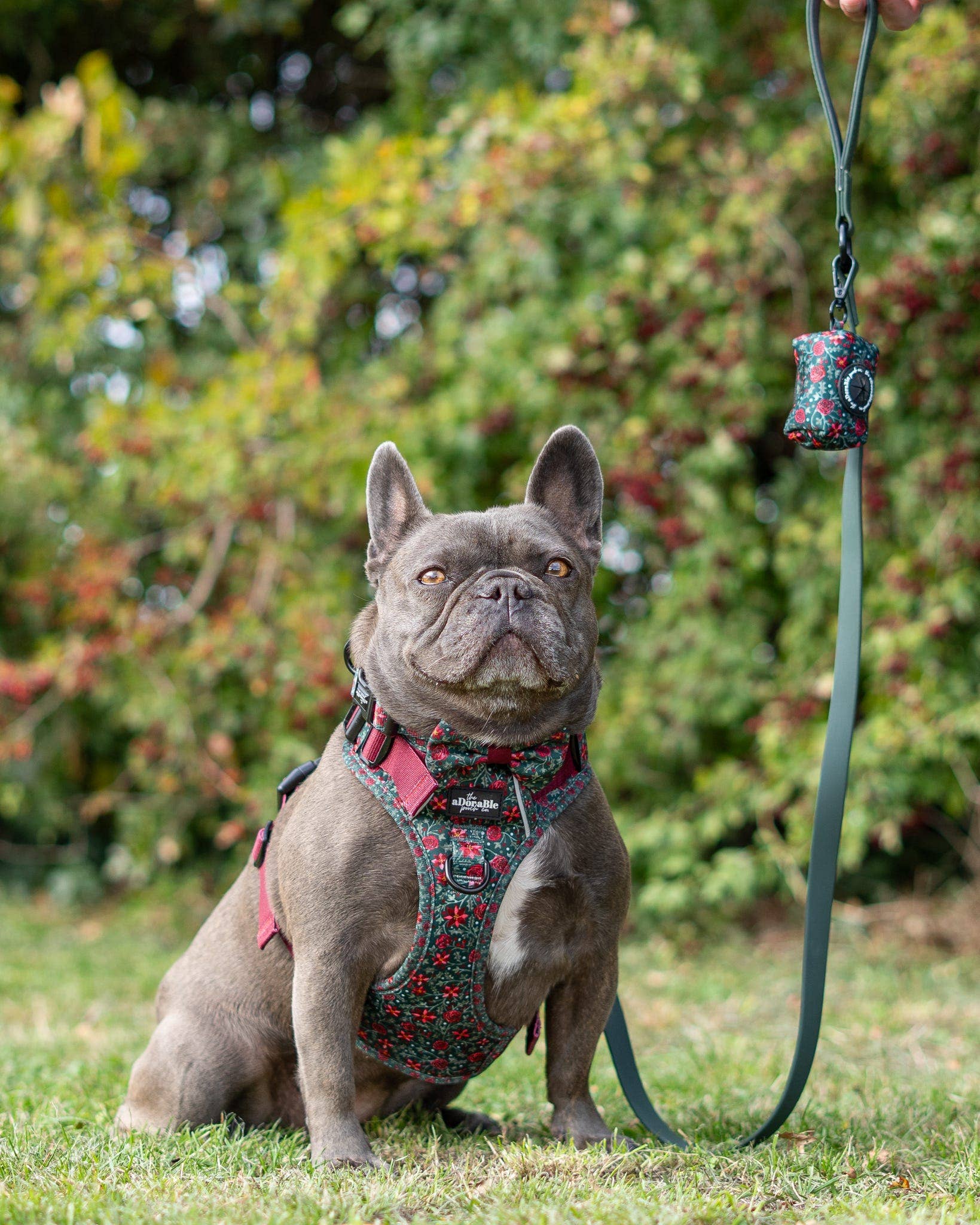 The aDoraBle Pooch Company – wholesale Pet poo bag dispenser – Dog Poop Bag Holder - Holly & Ivy2