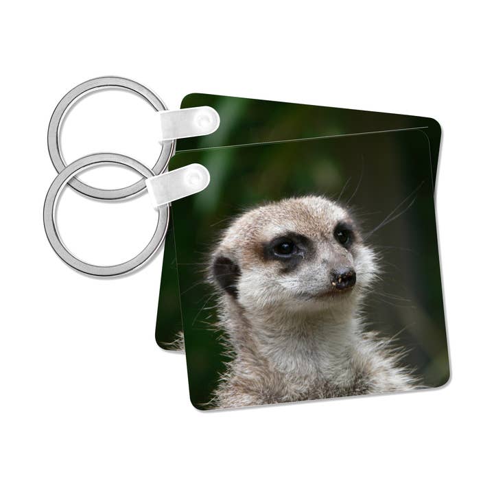 3dRose, Portræt af surikat afrikansk dyreliv natur, nøglering for engroshandel hos 3dRose