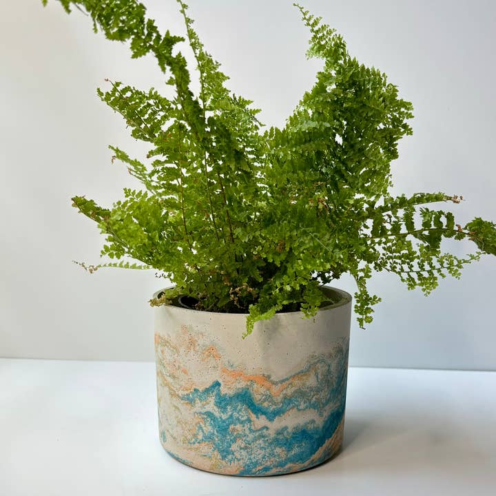 Fancy Concrete - Wholesale Plant Pot - Hera Pot 5.7” | Planter Pot | Indoor/Outdoor Planter