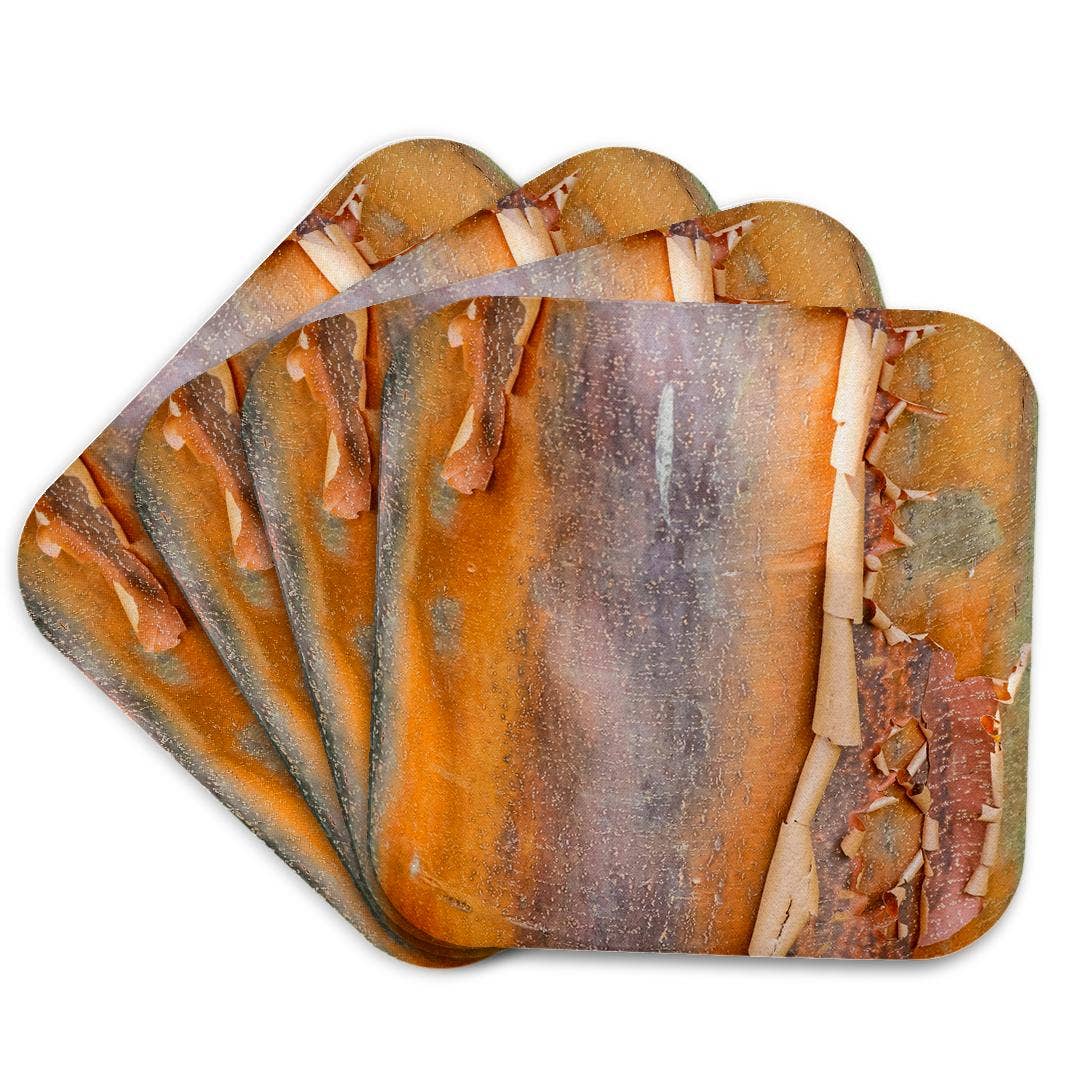 3dRose - Wholesale Coasters - 3dRose, USA, Washington State. Bellevue Botanical garden and tree bark, Coaster7