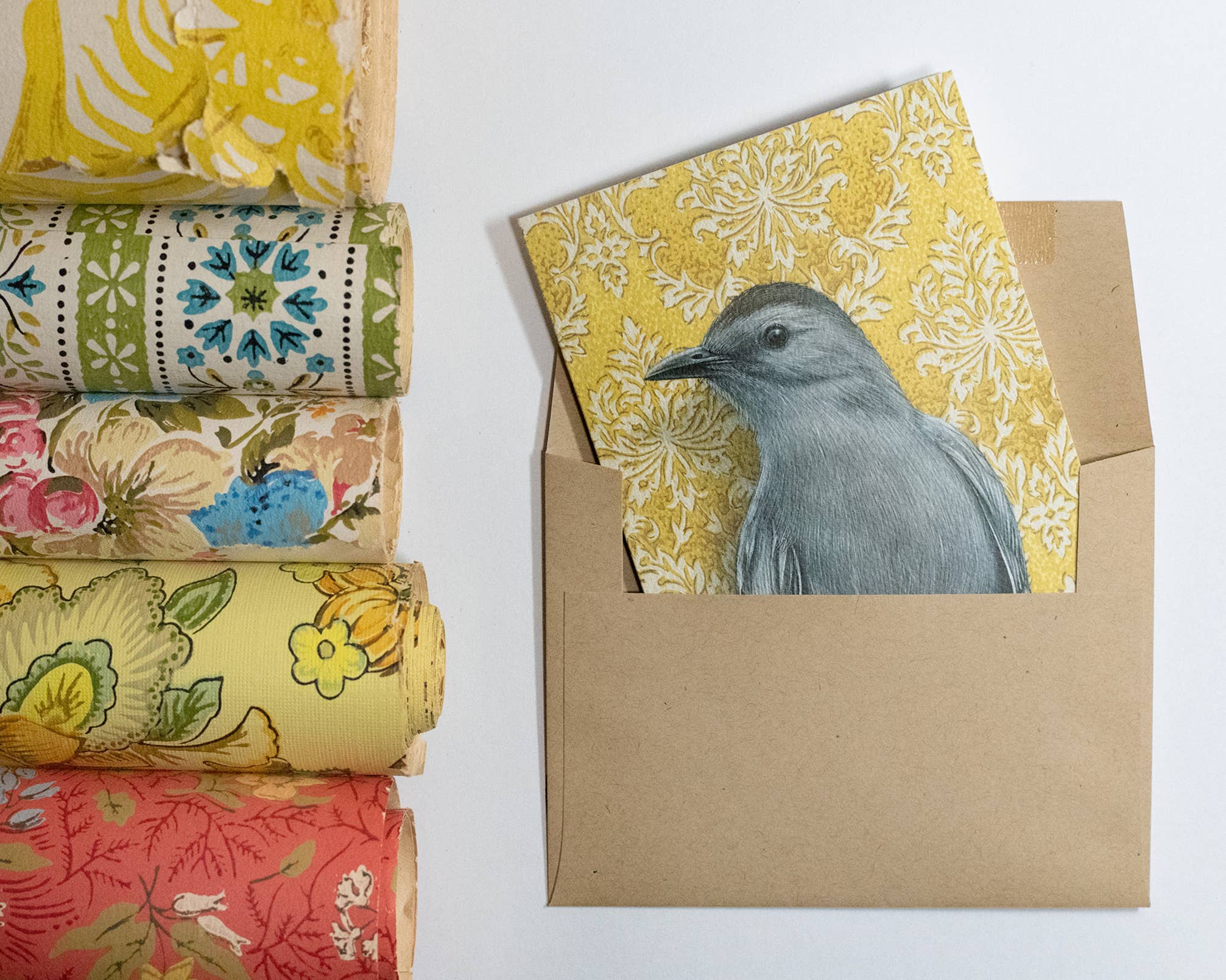 Emily Uchytil – Engroshandel Hverdagshilsen kort – Catbird - Note-kort3