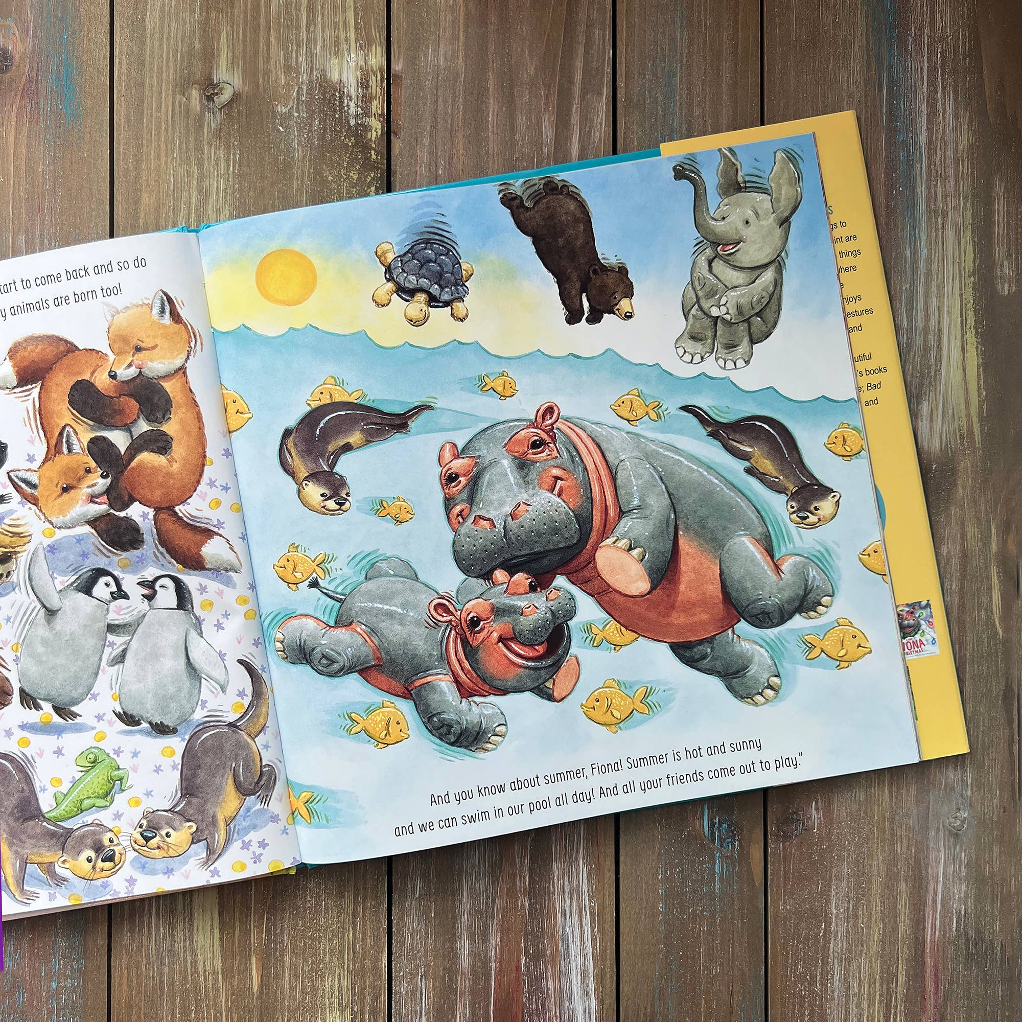 HarperCollins Christian Publishing - Wholesale Preschool Book (3-5) - You've Got This, Fiona5