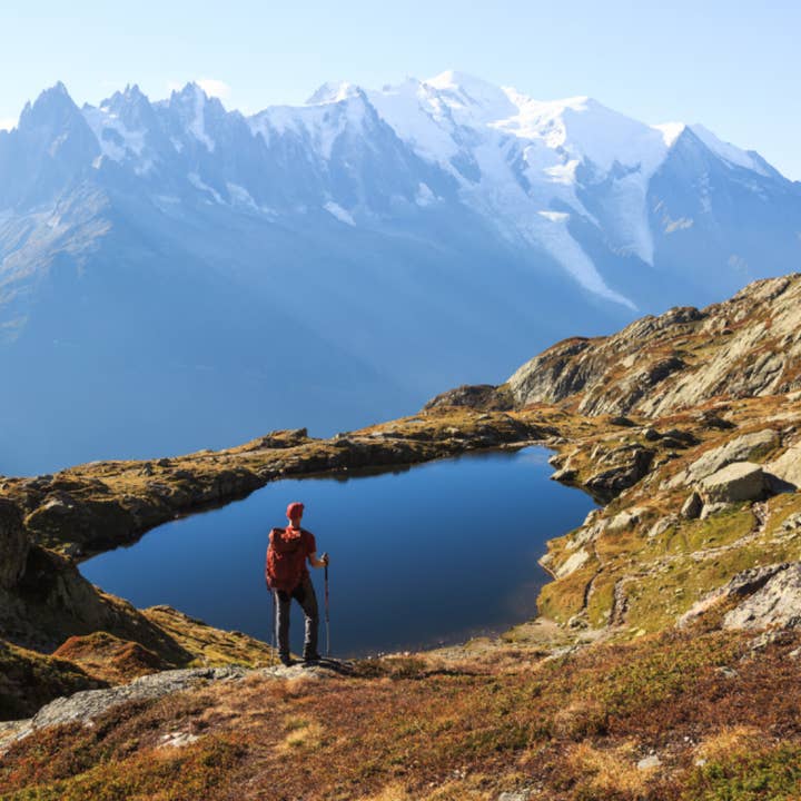 Rôti français biologique équitable pour la vente par Due Torri Coffee
