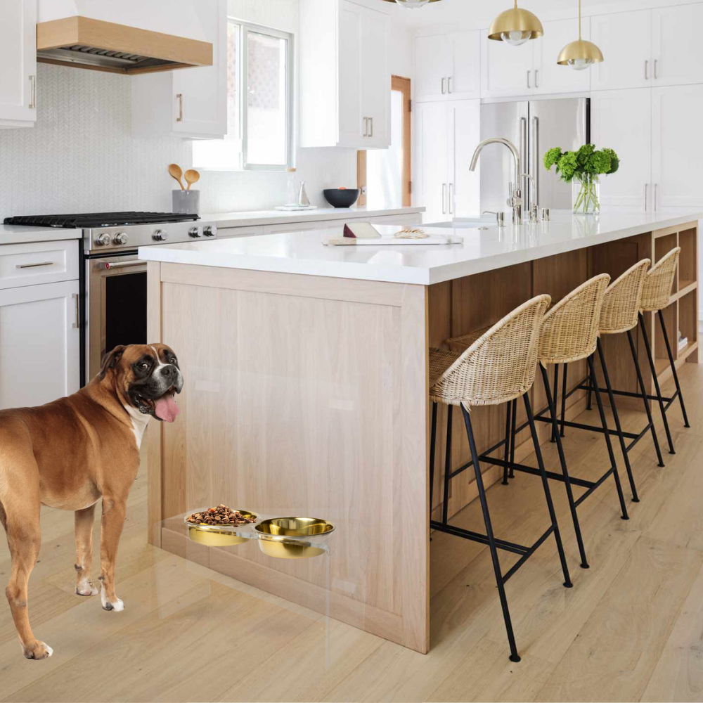 Hiddin - Vente Gamelle – chat et chien - Grand Mangeoire Doré4