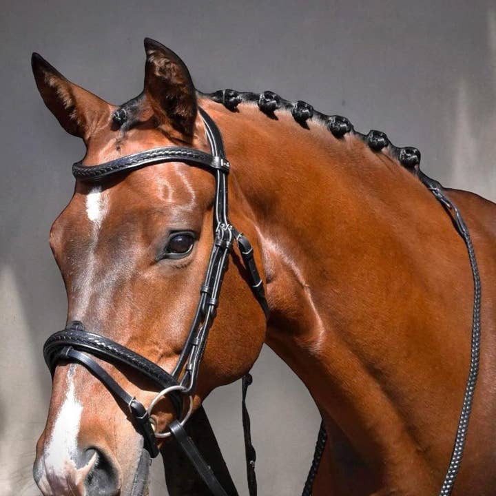 EPONIA EQUESTRIAN LIFESTYLE - Wholesale Horseback Riding Gear - Bridle with classic braided details - Italian leather
