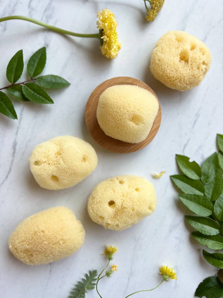 SILK FACIAL SEA SPONGE - PHILIPPINES for wholesale by Fawn Lily Botanica
