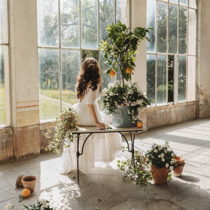 Jamie Beck - Wholesale Jar/Filled Candle - French Citrus Scented Candle • Jardin de l'Orangerie7