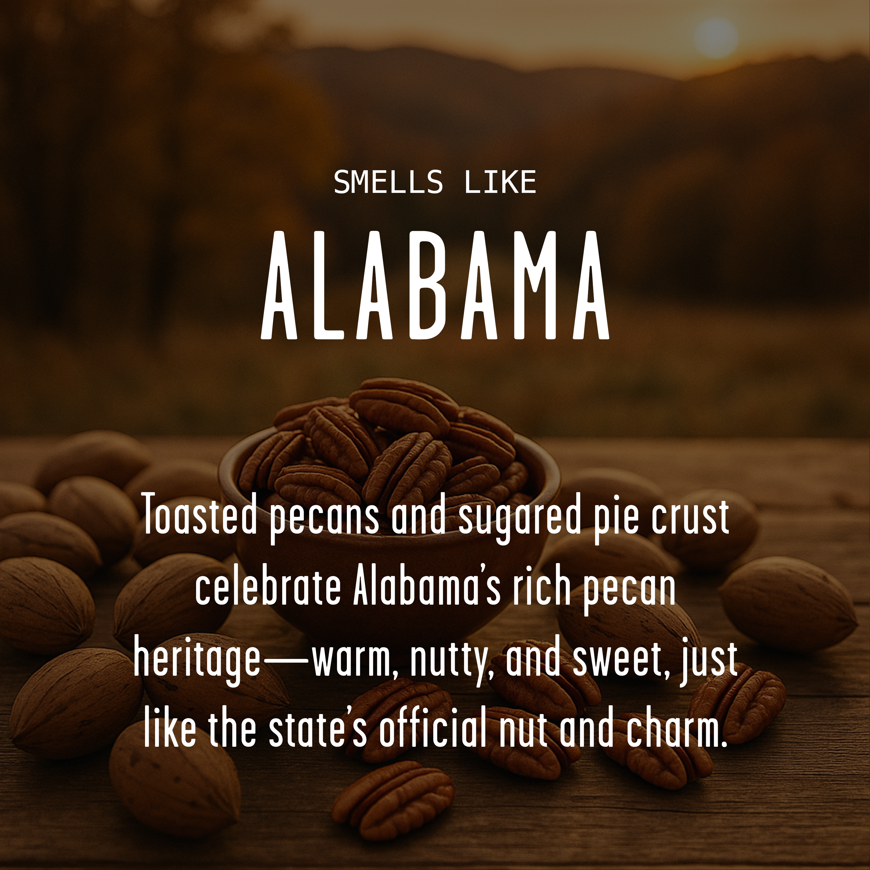 Soy and Sass – wholesale Burkljus – ”Det finns ingen plats som Alabama” sojavaxljus - statliga gåvor1