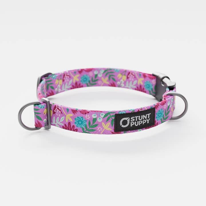 Collier d'été quotidien Frolic pour la vente par Stunt Puppy