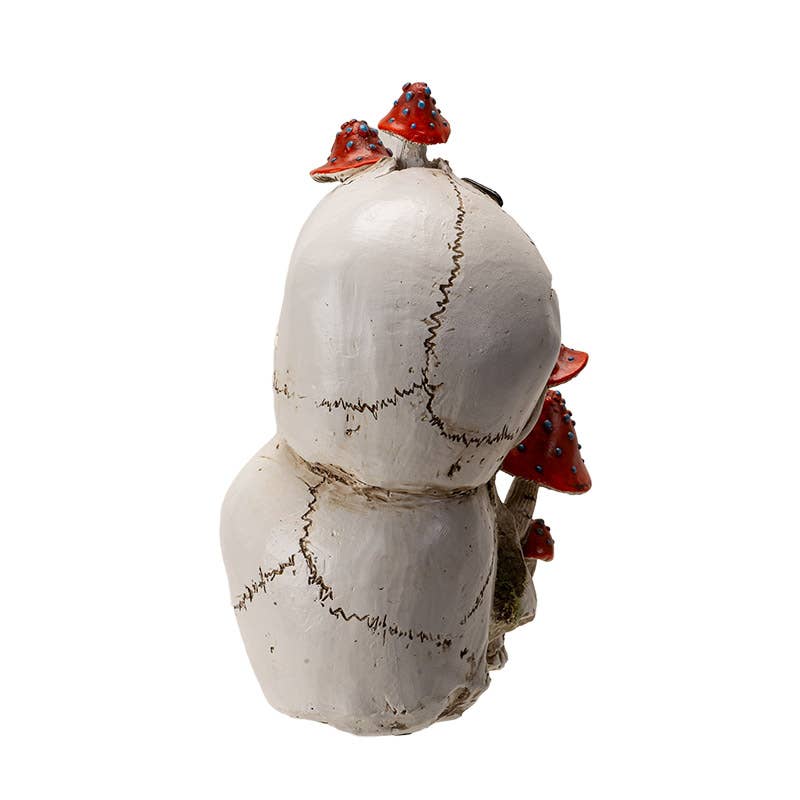 Pacific Trading - Vente Figurine décorative - Crâne avec Champignons3