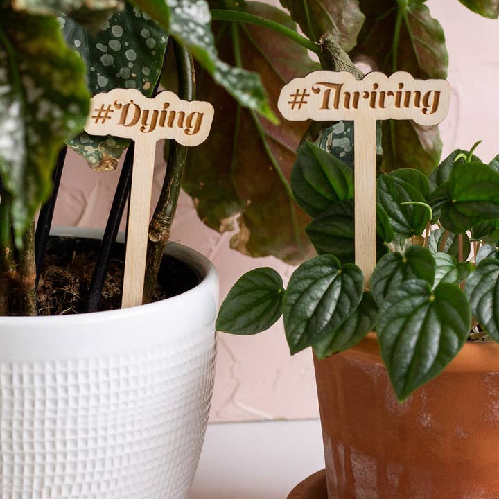 The Print Pantry - Wholesale Garden/Lawn Stake - Funny Wooden Plant Markers