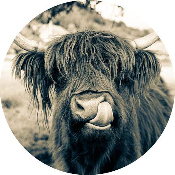 Highlander 02 Väggcirkel för wholesale av GM decoratie