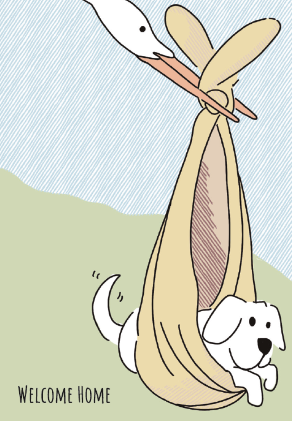 Only An Ocean Europe - Vendita all'ingrosso Snack - Cani - Cartoline commestibili personalizzabili per cani11