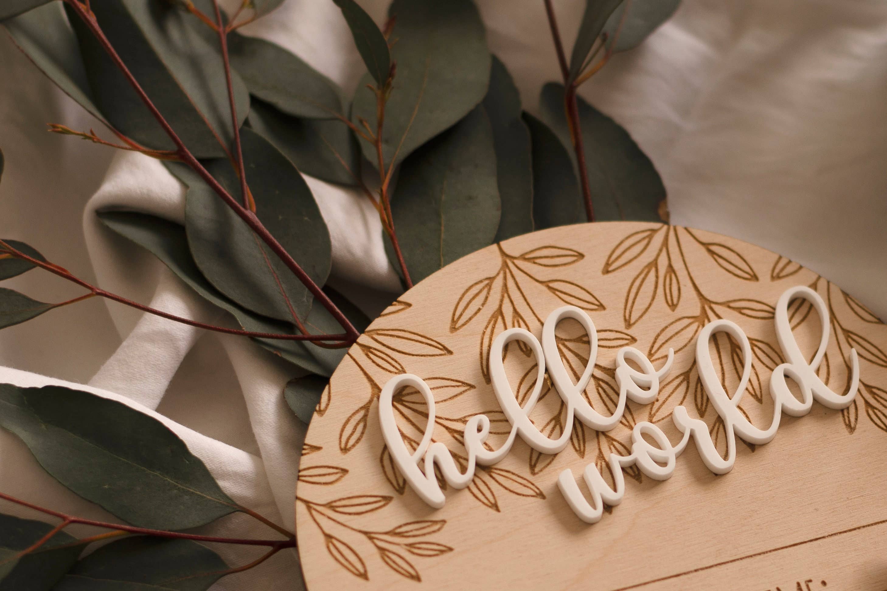 Two Little Hearts - Wholesale Milestone art/keepsake – Child & baby - Hello World New Baby Birth Announcement Wooden Plaque1