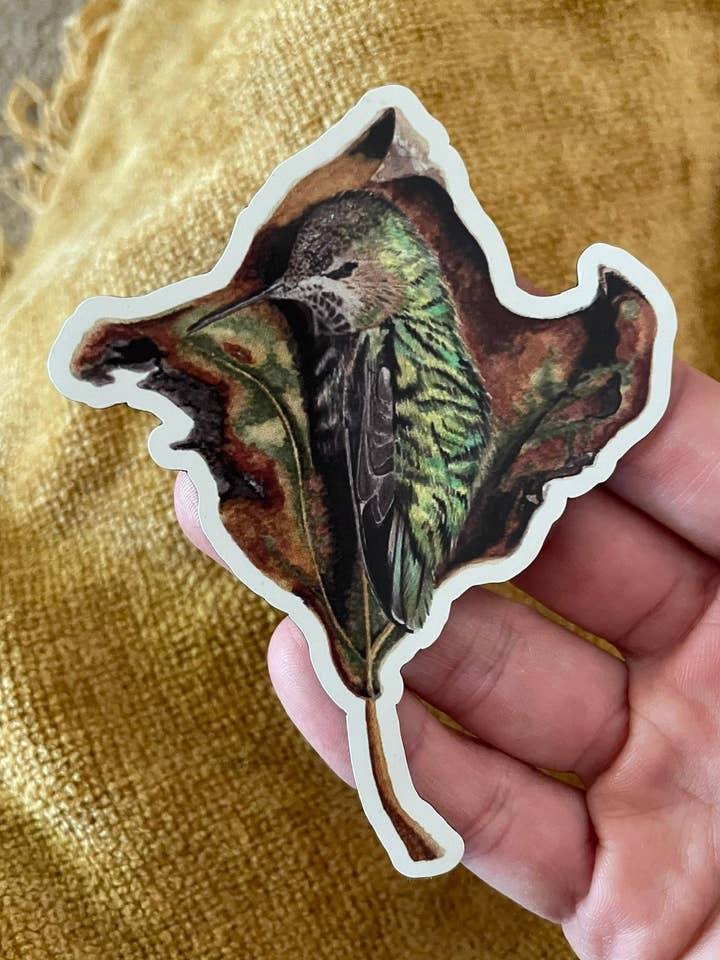 Anna's Hummingbird - Rescued Baby - Magnet for wholesale by Bird Art by KB