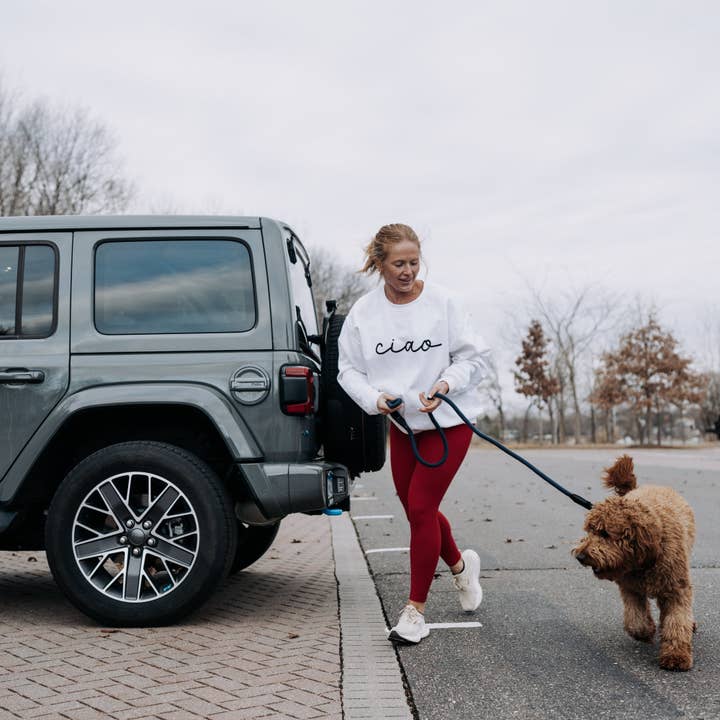 HOOZA - Wholesale Pet Leash - Dog - MAGNETIC QUICK CLIP ROPE LEASH8