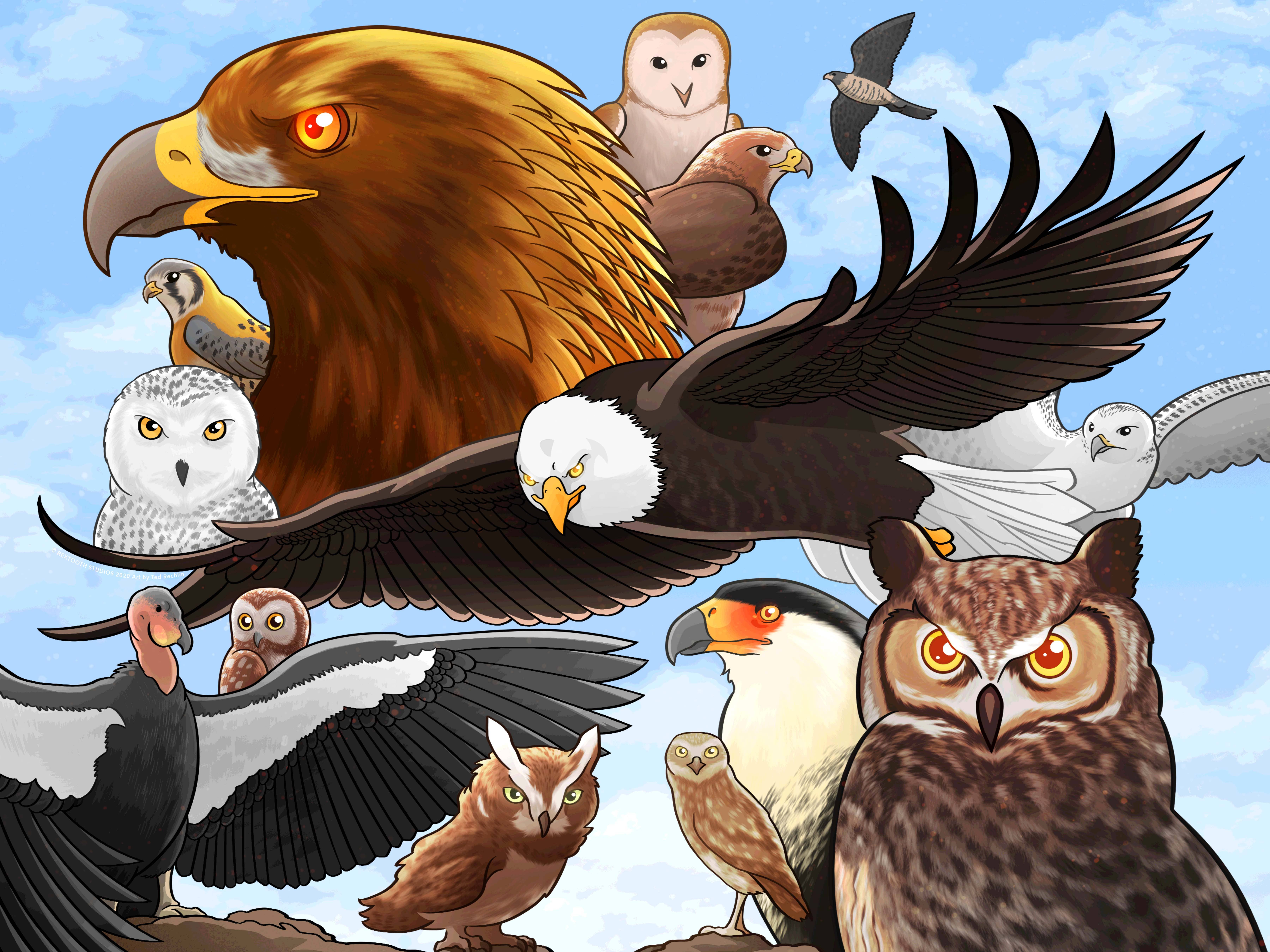 Rextooth Studios – wholesale Pussel - Vuxen – Raptors/Birds pussel