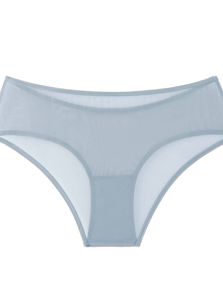 Amour d'Agnette - Wholesale Underwear - Women's - 5 Color Sheer Mesh Hipster4