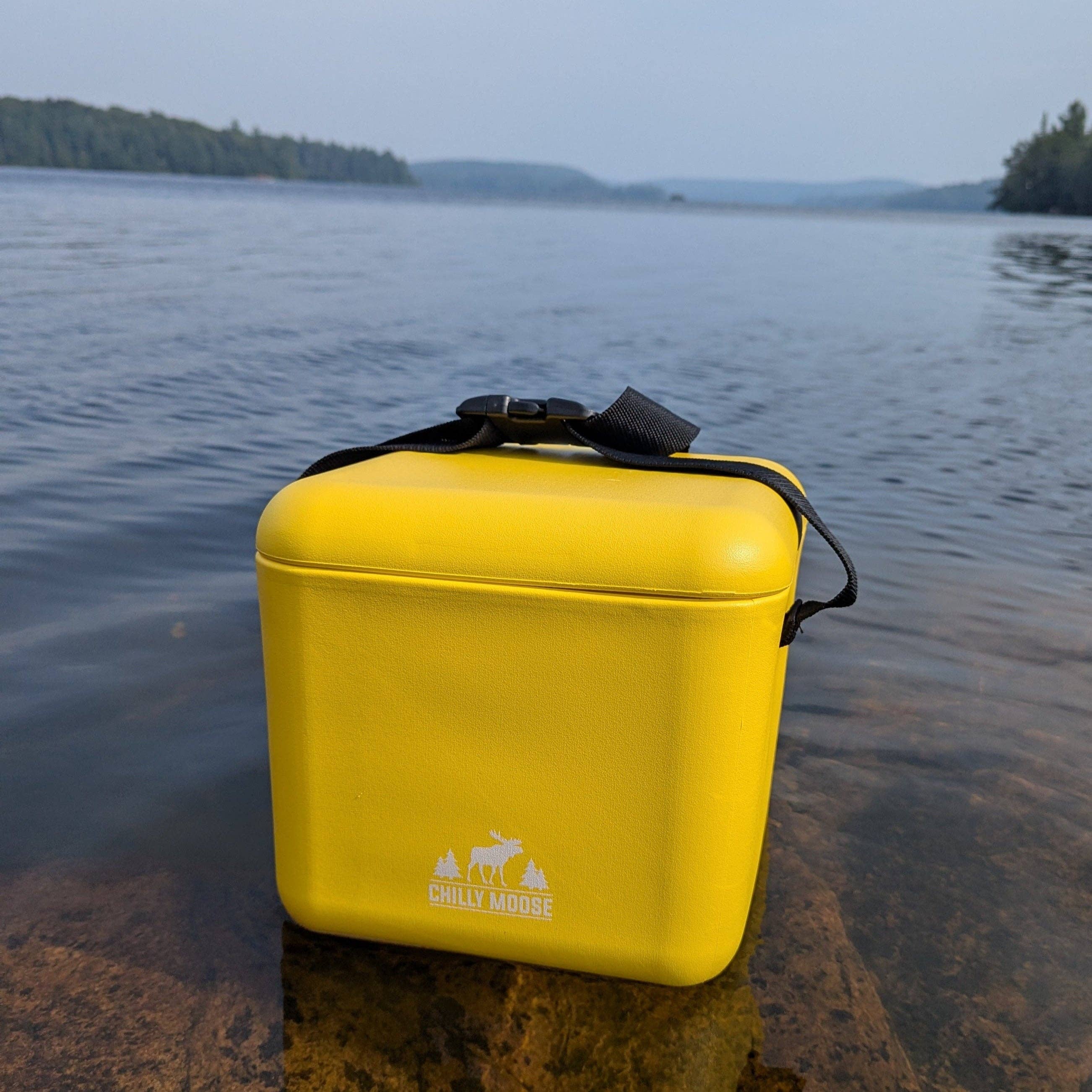 Chilly Moose - Vendita all'ingrosso Borsa termica/frigo - 9L Cabot Cooler Cube13