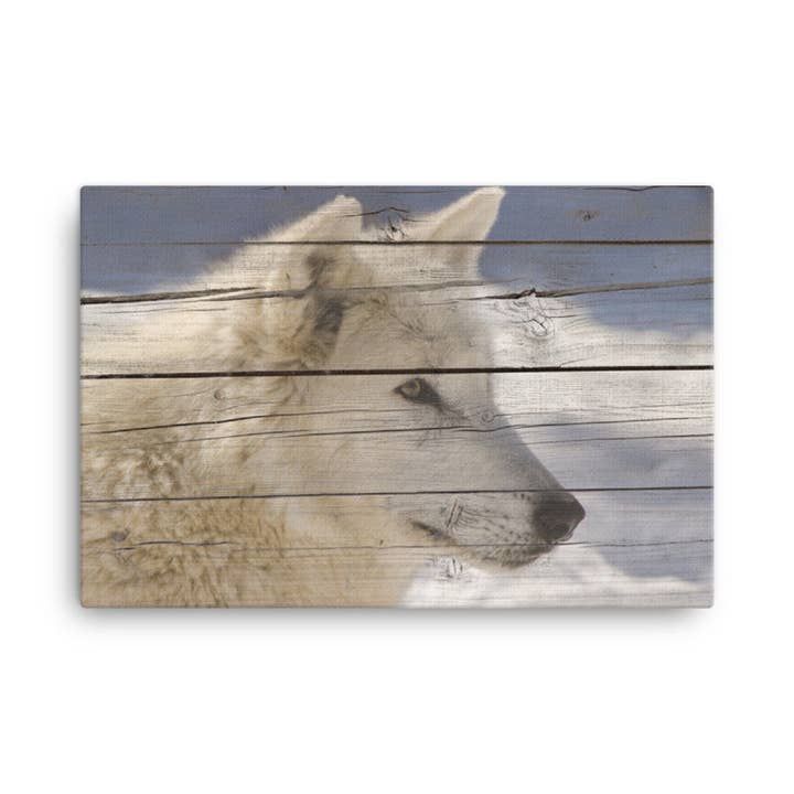 Aries the White Wolf Portrait Faux Weathered Wood Wall Art por atacado de Pipa Wall Art & Home Decor
