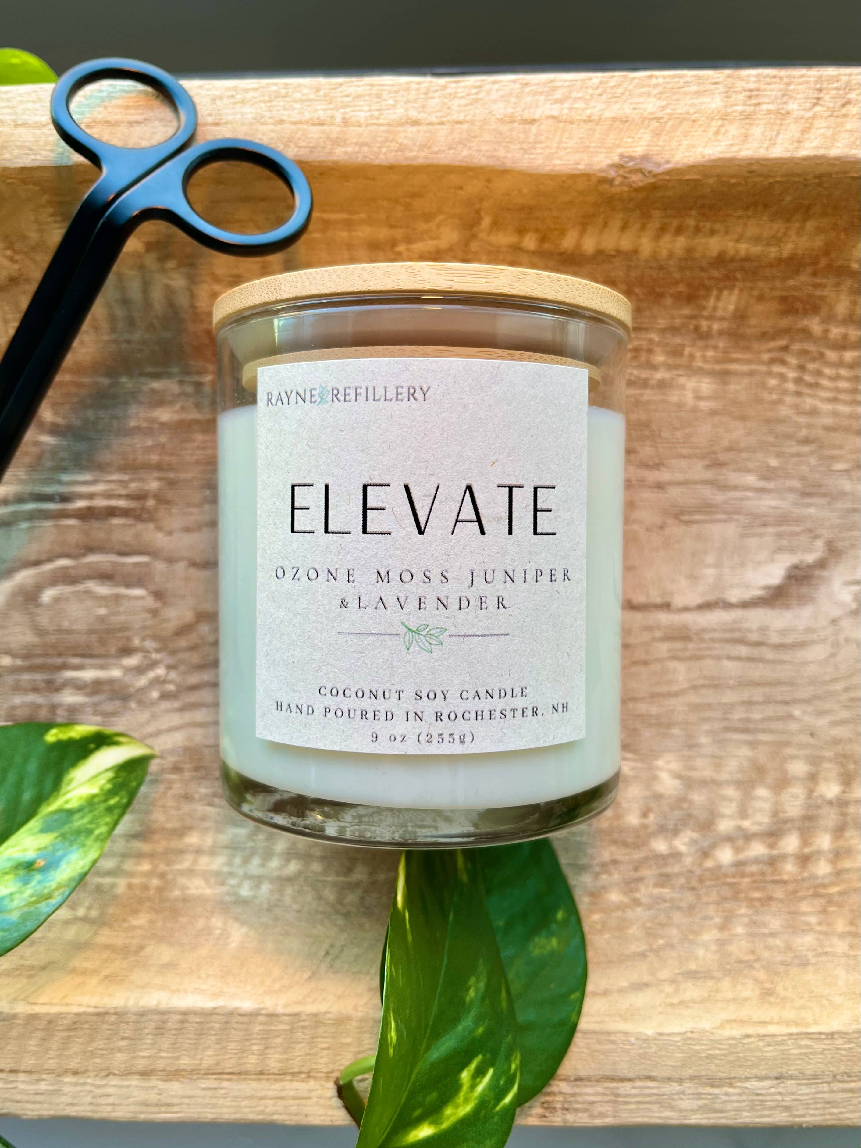 Rayne Refillery - Wholesale Jar/Filled Candle - The Concord Vessel - Coconut Soy Wax Candle1