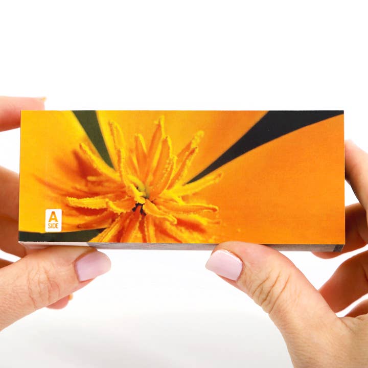 Flipboku – wholesale Visningsbok – Motion in Nature – interaktiv konstbok i set2