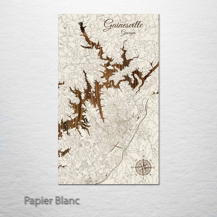 Fire and Pine Wood Maps - Venta al por mayor Mapas - Georgia: Mapa callejero de Gainesville